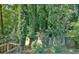 Overgrown backyard offering privacy and natural scenery at 1453 Midview Dr, Decatur, GA 30032