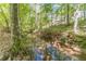 Tranquil stream with clear reflections flowing through a lush, green forest landscape at 776 Myerston Ct, Lawrenceville, GA 30044