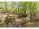 Peaceful stream flowing through a wooded area, creating a serene natural setting at 776 Myerston Ct, Lawrenceville, GA 30044