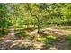 Outdoor view of a park with walking trails, mature trees, and natural landscaping at 1307 Glenwood Se Ave, Atlanta, GA 30316