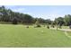 Expansive backyard with lush green grass, mature trees, and manicured landscaping at 50 Cannonade Ct, Covington, GA 30016
