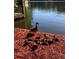 Picturesque waterfront with a mother duck and ducklings enjoying the lakeside scenery at 3093 Brookshire Way, Duluth, GA 30096