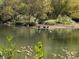 A view of the pond with ducks sitting on the shore at 3980 Bayside Cir, Atlanta, GA 30340