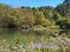 Community pond features ducks and natural landscaping at 3980 Bayside Cir, Atlanta, GA 30340