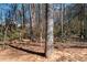 View of the natural, wooded area surrounding the property with mature trees at 1605 Ridenour Nw Pkwy, Kennesaw, GA 30152