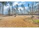 Huge, private backyard with wooded views at 1020 Adie Cv, Mcdonough, GA 30253