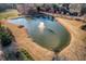 Aerial view of a pond with a fountain feature with trees and grassy banks at 1205 Trey Ct, Marietta, GA 30064