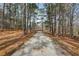 Long driveway leading up to a charming home surrounded by mature trees and natural landscape at 4009 Highway 138 Sw, Stockbridge, GA 30281