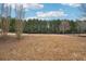 Expansive backyard with lush greenery and space for recreation and outdoor activities at 4740 Arbor Meadows Dr, Cumming, GA 30040
