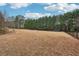 Spacious backyard with potential for landscaping and outdoor enjoyment at 4740 Arbor Meadows Dr, Cumming, GA 30040