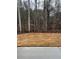 View of a backyard with newly planted grass that leads up to a wooded area at 4517 Twinberry Dr, Powder Springs, GA 30127