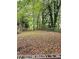 Large, undeveloped backyard with mature trees and a natural setting at 6658 Collins Ct, Riverdale, GA 30274
