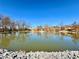 Picturesque view of the pond featuring a fountain, surrounded by trees and community residences at 3533 Mulberry Way, Duluth, GA 30096