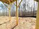 View from under the deck facing the wooded backyard at 66 Pine Creek Ct, Dallas, GA 30157