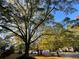 Lush green trees provide ample shade and enhance the neighborhood's natural beauty at 1504 Sycamore Nw Dr, Kennesaw, GA 30152