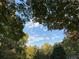Tall trees with a canopy of green leaves and blue sky above the property at 1504 Sycamore Nw Dr, Kennesaw, GA 30152
