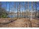 Scenic lake view bordered by trees, offering a tranquil setting at 3423 Conley Downs Dr, Powder Springs, GA 30127