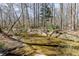 A nature view showcases a creek winding through a wooded area, adding tranquility at 2190 Spalding Dr, Sandy Springs, GA 30350
