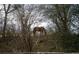 A brown horse grazes behind dormant trees in a wooded pasture at 820 Nob Ridge Dr, Marietta, GA 30064