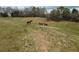 Horses grazing in a vast green field with a barn and house in the distance at 820 Nob Ridge Dr, Marietta, GA 30064