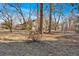 Expansive backyard showcases mature trees, providing shade and privacy at 436 Tarpley Ave, Bowdon, GA 30108