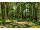 A wooded lot full of mature trees and dense greenery, promising privacy and a connection with nature at 1208 Thomas Rd, Decatur, GA 30030