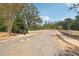 Scenic view of the community street featuring stone walls, gas lanterns, and lush surroundings at 4415 Natchez Ln, Cumming, GA 30040