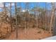 Secluded backyard with mature trees and leafy ground cover at 2590 Runic Way, Johns Creek, GA 30022
