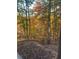 View of trees with fall colors from the backyard, with iron fence at 650 Vinings Estates Se Dr, Mableton, GA 30126