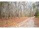 Gravel driveway through a wooded area, leading to a private residence at 8951 Brewer Rd, Douglasville, GA 30134