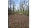 Natural backyard setting with trees and fallen branches at 4028 William Mary Ct, Decatur, GA 30034