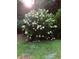 Lush hydrangea bush in full bloom, adding vibrant color and natural beauty to the landscaped garden at 2825 Parnell Springs Ct, Cumming, GA 30040