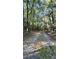 Long gravel driveway leading to a house that is surrounded by tall mature trees at 8083 Highway 166, Douglasville, GA 30135