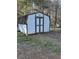 Backyard storage shed with double doors and a gabled roof, sits on a grass yard at 184 Cedarcrest Dr, Acworth, GA 30101