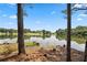 Picturesque lake view framed by tall trees, offering a tranquil and scenic vista at 1656 Maes Overlook, Loganville, GA 30052