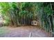 Discover a backyard with lush bamboo trees and a small outbuilding, providing a private and tranquil outdoor space at 17 Peachtree Ne Ave, Atlanta, GA 30305