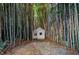 Secluded outbuilding nestled amongst the bamboo trees offering a private and unique hideaway at 17 Peachtree Ne Ave, Atlanta, GA 30305