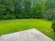 A very lush green backyard featuring mature trees at 12 Bonnie Glen Ln, Hampton, GA 30228