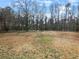 The backyard is a large open space with trees at the rear of the lot at 12 Bonnie Glen Ln, Hampton, GA 30228