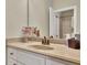 Bathroom featuring a light countertop and a shower visible in the mirror with an open door at 3060 Salisbury Ln, Cumming, GA 30041