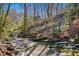 Tranquil creek bed winding through a wooded area, showcasing a serene natural habitat at 4421 Paradise Cir, Vinings, GA 30339