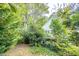 View of the home surrounded by mature trees, providing shade and natural beauty at 970 E Main St, Canton, GA 30114