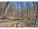 Picturesque wooded area with a walking path; great for nature lovers at 4065 Thaxton Rd, Atlanta, GA 30349