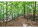 A scenic wooded trail surrounded by lush greenery, offering a tranquil outdoor experience at 2075 Pine Tree Dr, Buford, GA 30518