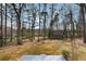 Lush backyard with a shed surrounded by mature trees providing privacy and a serene outdoor space at 710 Melanie Ct, Canton, GA 30115