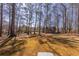 Spacious backyard with mature trees, offering a private and serene outdoor space at 710 Melanie Ct, Canton, GA 30115