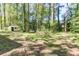 Spacious backyard with mature trees and a storage shed, providing plenty of room for outdoor activities at 4479 Richard Rd, Conley, GA 30288