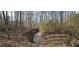 Natural creek on property through wooded landscape at 3640 Chandler Haulk Rd, Loganville, GA 30052