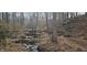 Natural flowing creek, winding through a wooded area, creating a peaceful and serene environment at 3640 Chandler Haulk Rd, Loganville, GA 30052