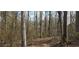 Wooded property leading up to home site at 3640 Chandler Haulk Rd, Loganville, GA 30052